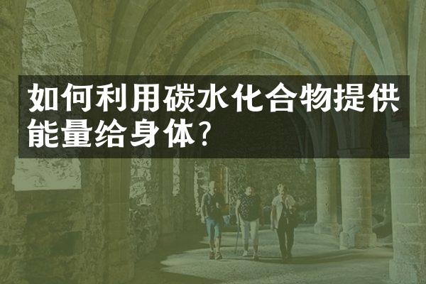 如何利用碳水化合物提供能量给身体？