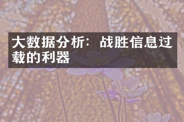 大数据分析：战胜信息过载的利器