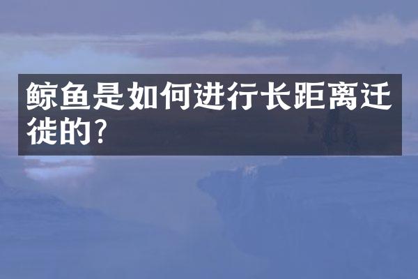鲸鱼是如何进行长距离迁徙的？
