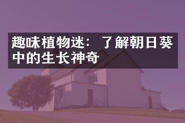 趣味植物迷：了解朝日葵中的生长神奇