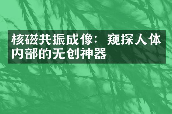核磁共振成像：窥探人体内部的无创神器