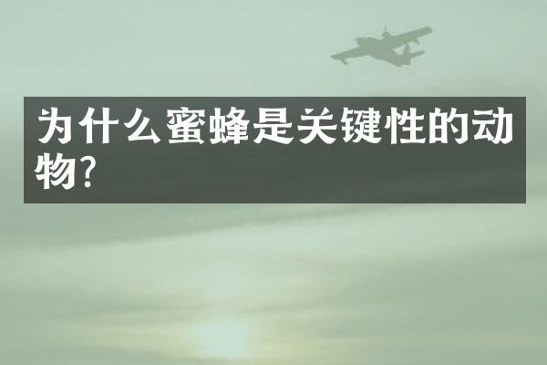 为什么蜜蜂是关键性的动物？