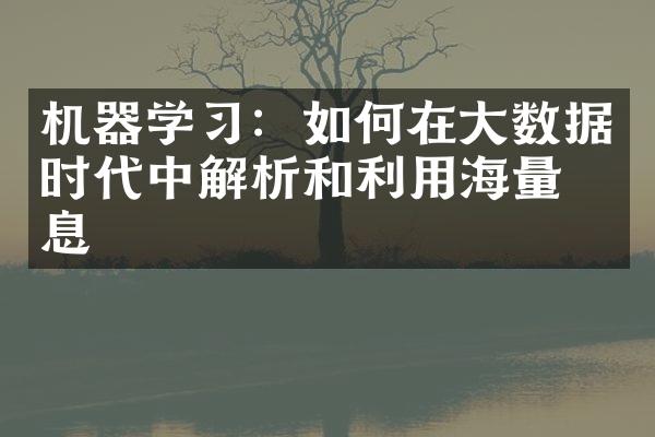 机器学习：如何在大数据时代中解析和利用海量信息
