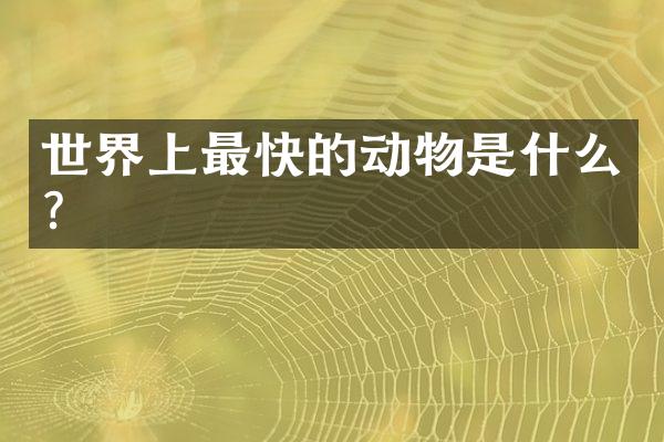 世界上最快的动物是什么？