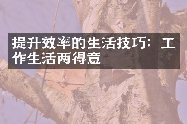 提升效率的生活技巧：工作生活两得意