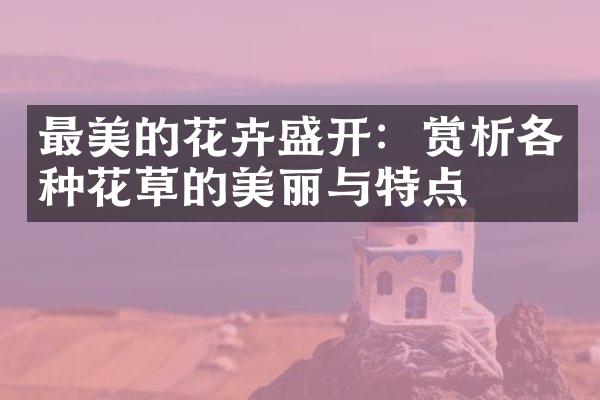 最美的花卉盛开：赏析各种花草的美丽与特点