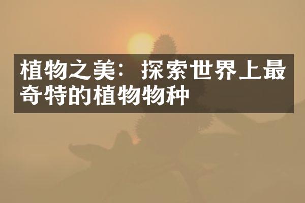 植物之美：探索世界上最奇特的植物物种