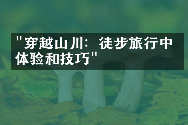 "穿越山川：徒步旅行中的体验和技巧"