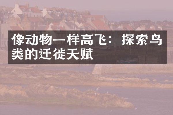像动物一样高飞：探索鸟类的迁徙天赋