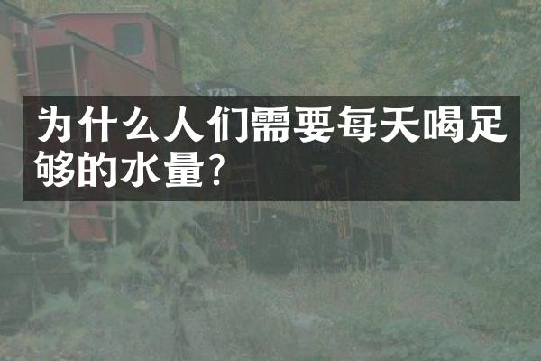 为什么人们需要每天喝足够的水量？
