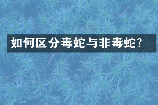 如何区分毒蛇与非毒蛇？