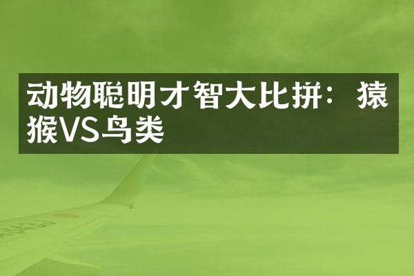 动物聪明才智大比拼：猿猴VS鸟类