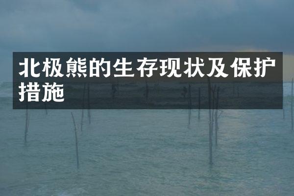 北极熊的生存现状及保护措施