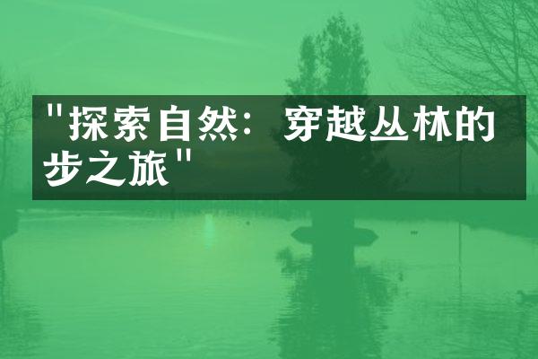 "探索自然：穿越丛林的徒步之旅"