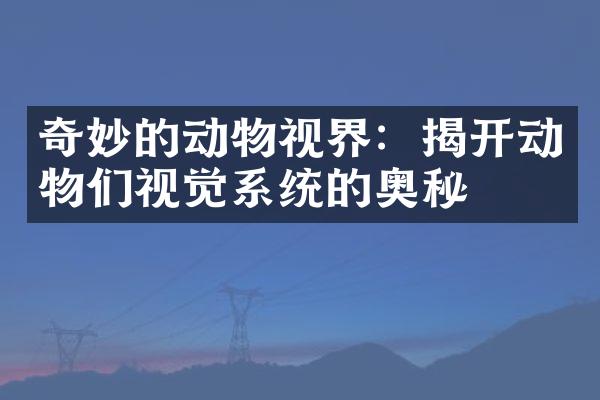 奇妙的动物视界：揭开动物们视觉系统的奥秘