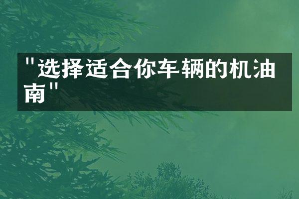 "选择适合你车辆的机油指南"