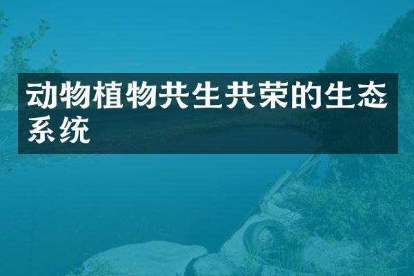 动物植物共生共荣的生态系统