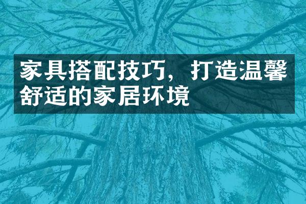家具搭配技巧，打造温馨舒适的家居环境