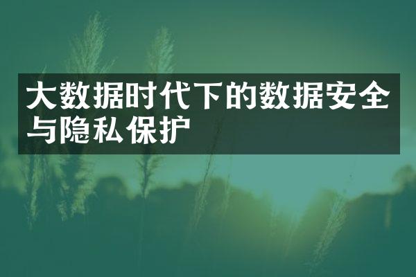 大数据时代下的数据安全与隐私保护