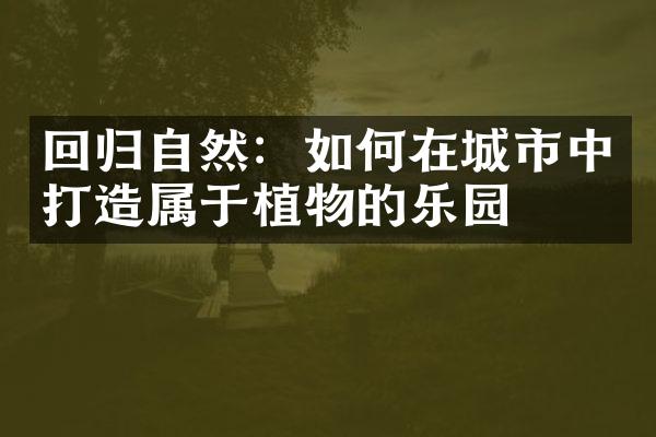 回归自然：如何在城市中打造属于植物的乐园