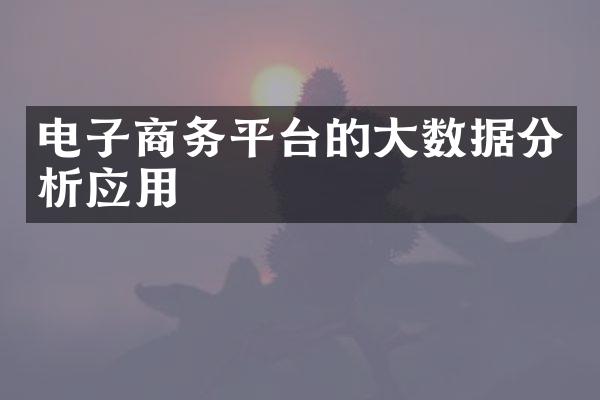 电子商务平台的大数据分析应用