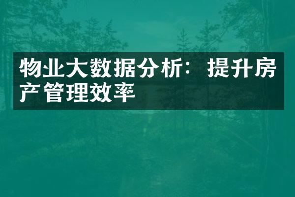 物业大数据分析：提升房产管理效率