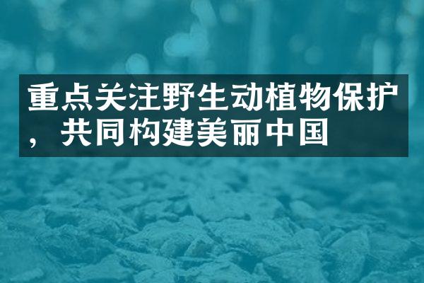 重点关注野生动植物保护，共同构建美丽中国