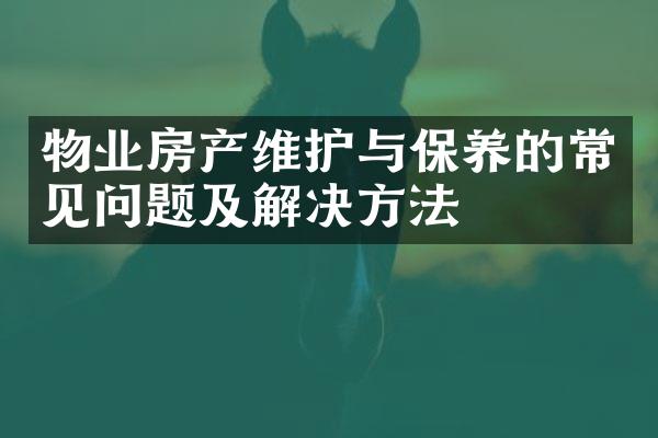 物业房产维护与保养的常见问题及解决方法