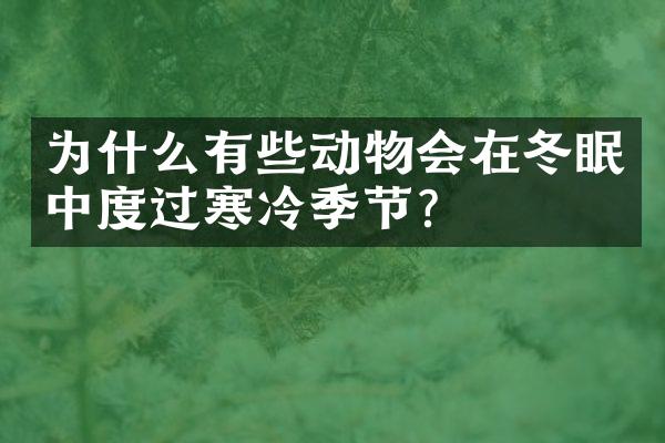 为什么有些动物会在冬眠中度过寒冷季节？