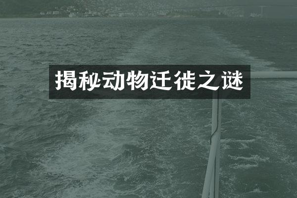 揭秘动物迁徙之谜