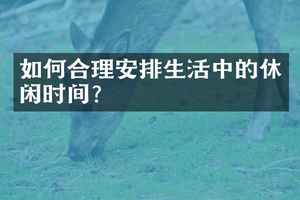 如何合理安排生活中的休闲时间？