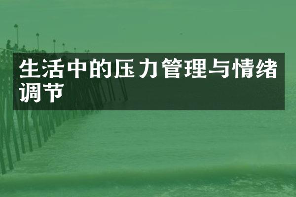 生活中的压力管理与情绪调节