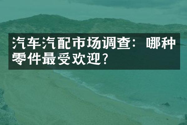 汽车汽配市场调查：哪种零件最受欢迎？