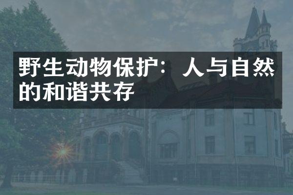 野生动物保护：人与自然的和谐共存