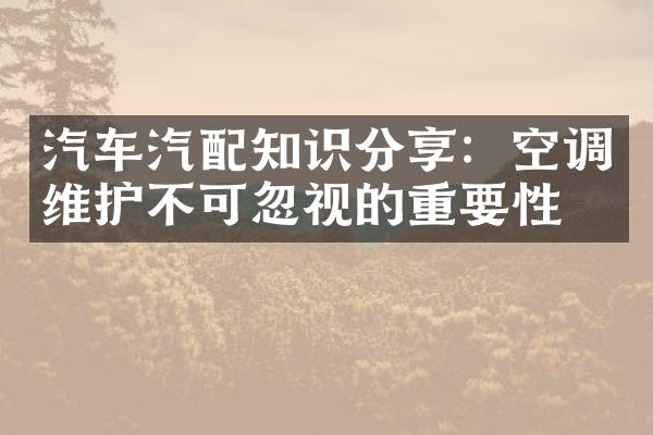 汽车汽配知识分享：空调维护不可忽视的重要性