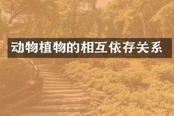 动物植物的相互依存关系