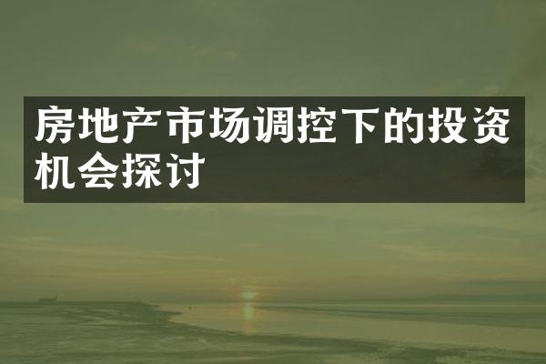 房地产市场调控下的投资机会探讨