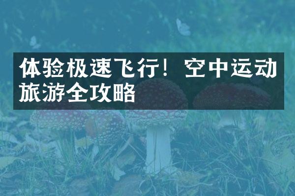 体验极速飞行！空中运动旅游全攻略
