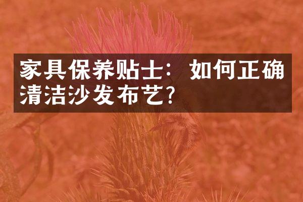 家具保养贴士：如何正确清洁沙发布艺？
