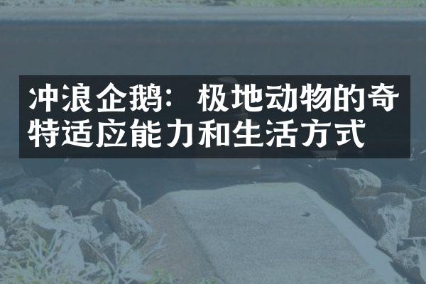 冲浪企鹅：极地动物的奇特适应能力和生活方式