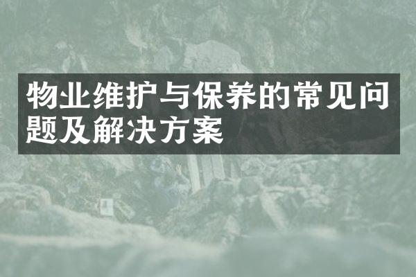 物业维护与保养的常见问题及解决方案