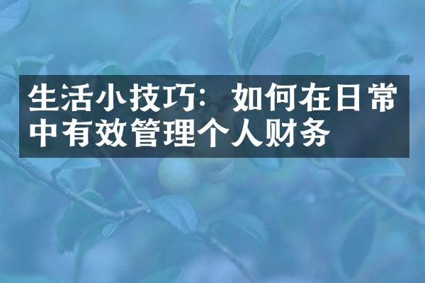 生活小技巧：如何在日常中有效管理个人财务