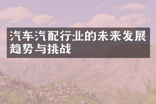 汽车汽配行业的未来发展趋势与挑战