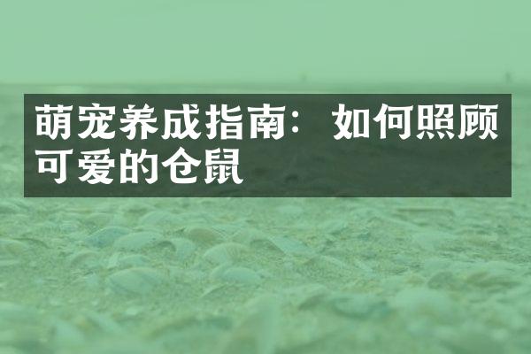 萌宠养成指南：如何照顾可爱的仓鼠