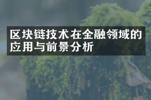 区块链技术在金融领域的应用与前景分析