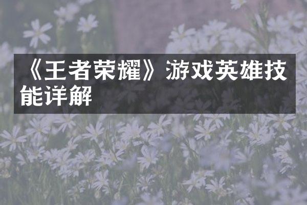 《王者荣耀》游戏英雄技能详解