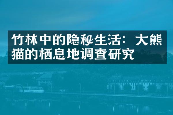 竹林中的隐秘生活：大熊猫的栖息地调查研究