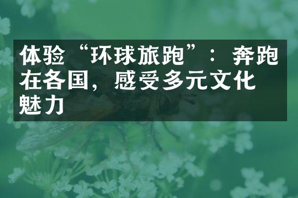 体验“环球旅跑”：奔跑在各国，感受多元文化的魅力