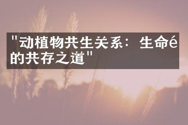 "动植物共生关系：生命间的共存之道"