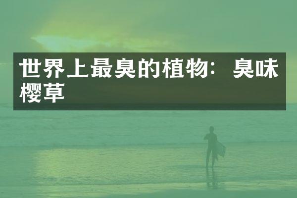 世界上最臭的植物：臭味樱草